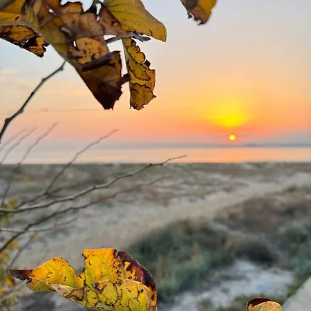 Апартамент Seaside - Sunny